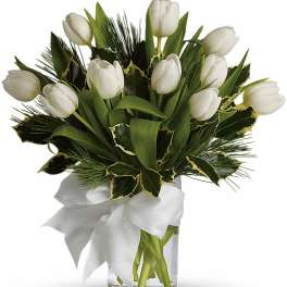 Tulips And Pine