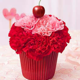 Cupcake For Your Cupcake