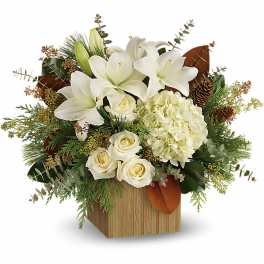Teleflora's Snowy Woods Bouquet