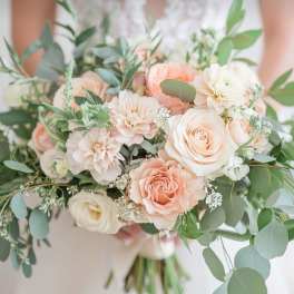 Apricot Kiss