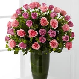 Serenade Luxury Rose Bouquet - 24-inch Premium Long-Stemmed Roses