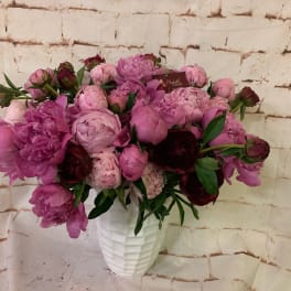 Lush arrangement of pink and burgundy peonies in a textured white vase