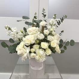 Ivory Grace Luxe Box