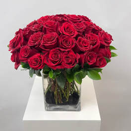 Red roses arranged in a clear square glass vase
