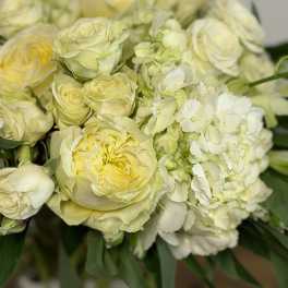 Bouquet of pale yellow roses and white hydrangeas