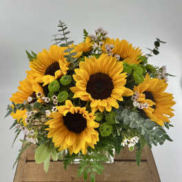 Sunflower bouquet with green accents in a low rectangular container