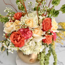 Coral and cream rose arrangement in a gold vase with trailing greenery