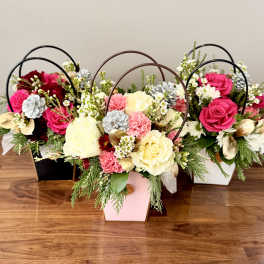 Three floral arrangements in pastel boxes with roses and carnations