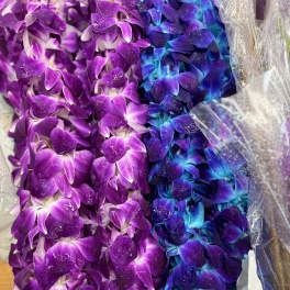 Close-up of purple and blue orchid garlands wrapped in plastic