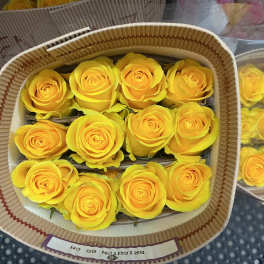 Bunch of yellow roses