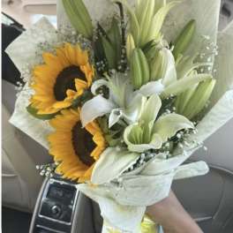 Sunlily