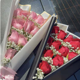 Velvet Roses