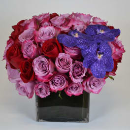 Endless Love
