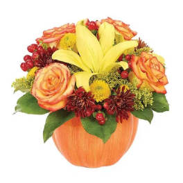 Harvest Pumpkin Celebration