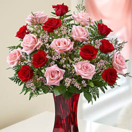 Shades of Pink and Red - Premium Long Stem Roses