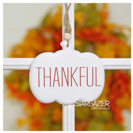 White hanging sign reading "THANKFUL" in front of blurred autumn flowers