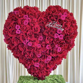 Romantic Radiance