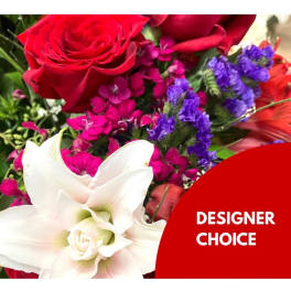 Designer Choice - Romance