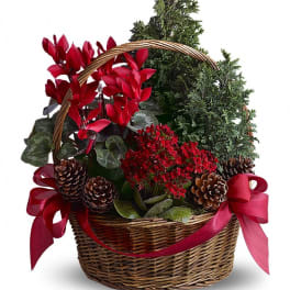 Basket arrangement with red flowers, evergreen sprigs, pinecones, and ribbon