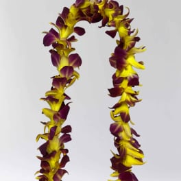 Single Orchid Leis, Yellow/burgundy
