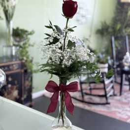 Single red rose in a clear vase with baby's breath and a burgundy ribbon