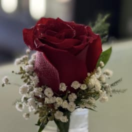Single red rose with small white filler flowers in a clear glass vase