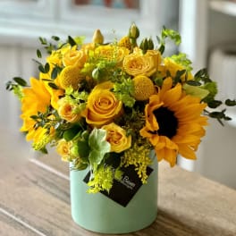 Little Miss Sunshine - FB