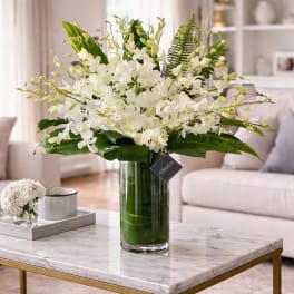 White Orchids – Pure Elegance & Sympathy Tribute