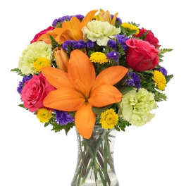 Lily Arbor