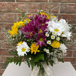 Field of Daisies