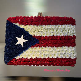 Puerto Rico Querido