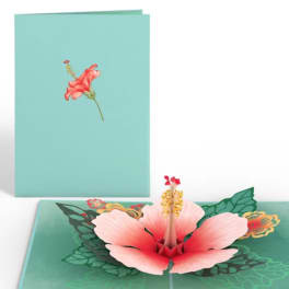 Pop-up card with a pink hibiscus flower on a teal cover