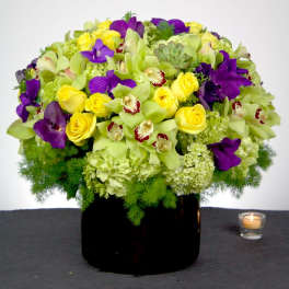 Happy Moments (DL)