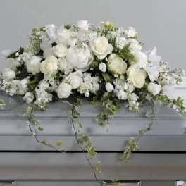Classic White Sympathy