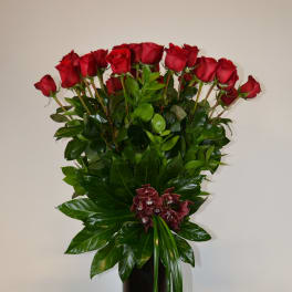 Majestic Red