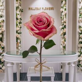Single Pink Glitter Tip Rose Wrapped
