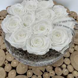 White roses arranged in a round decorative box
