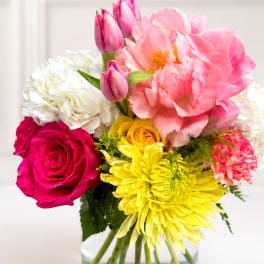 Penthouse Blooms - Signature Edition
