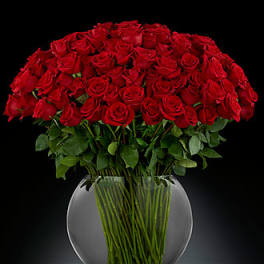 BIg Red Rose Circle