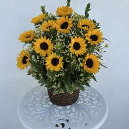 Potted arrangement of yellow sunflowers in a woven basket