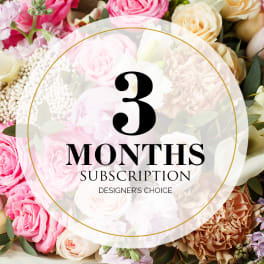 Mixed pink and cream roses with a 3 months subscription label