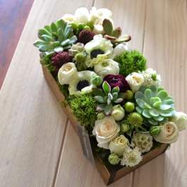 Creams & Greens - FB