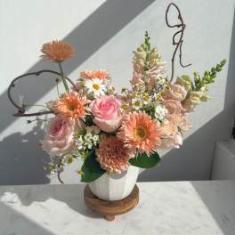 Cheerful Afternoon
