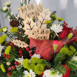 Let it Snow Cardinal