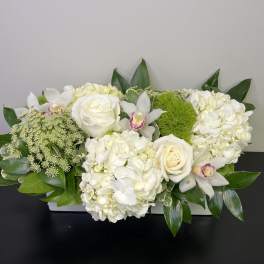White Elegance by Chasing Petals