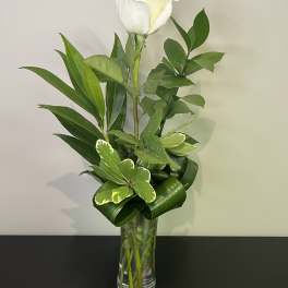 Simple Elegance by Chasing Petals
