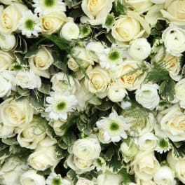 Cream roses and white daisies arranged in a dense floral wall