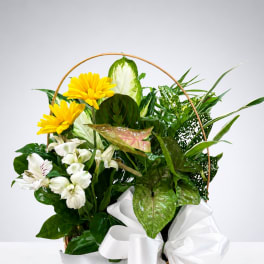 Basket arrangement with yellow daisies, white lilies, and a white ribbon bow