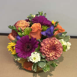 Vibrant Fall by Chasing Petals