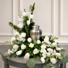 White roses and stock arranged around a silver urn on a table